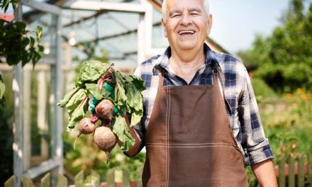 Over 50? Here’s 5 Of The Best Nutrients Men Should Take For Good Health
