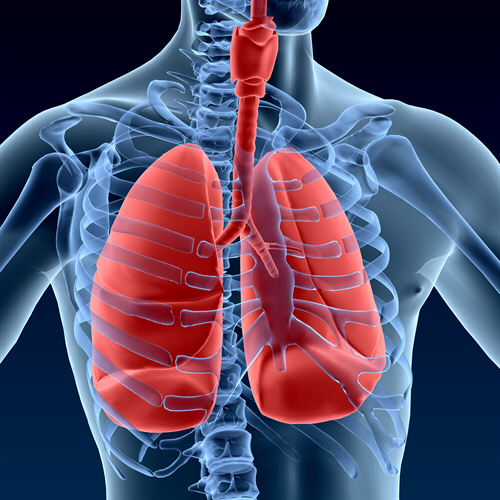 WEEK 04 (2021) – Biggest Killers 2 – Lung Diseases
