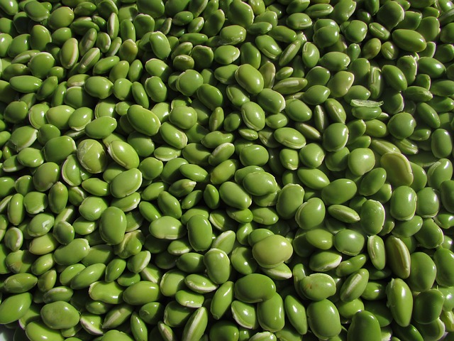 5 Reasons To Eat Legumes Every Day