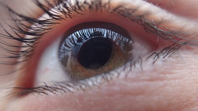 Celebrate Good Eye Health This Glaucoma Awareness Week