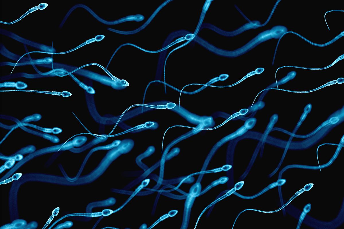 How To Naturally Boost Male Fertility And Support Strong Sperm