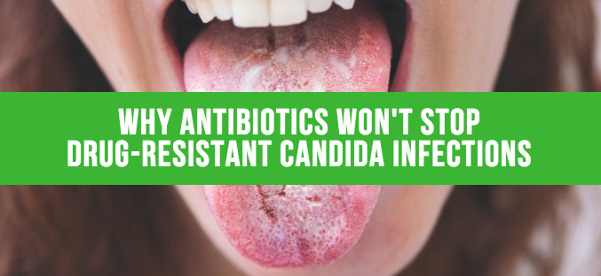 Why Antibiotics WON’T STOP Drug-Resistant Candida Infections