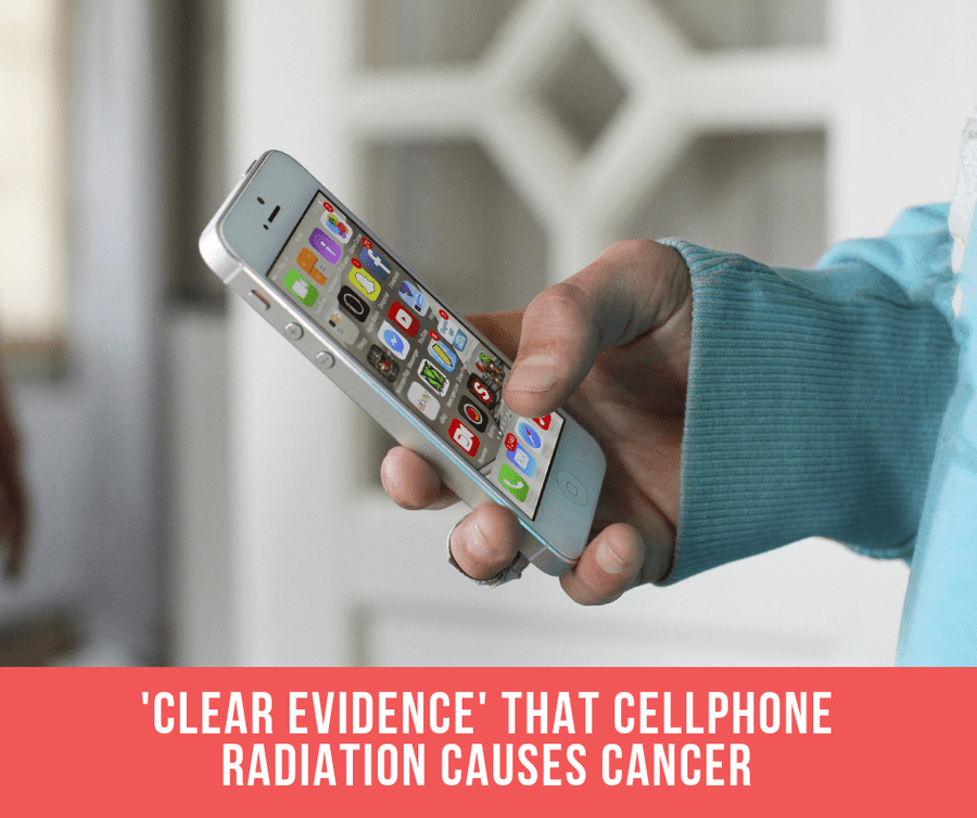 ‘Clear Evidence’ That Cellphone Radiation Causes Cancer