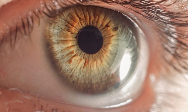 Seeing The World Clearly: How Lutein and Zeaxanthin Can Improve Eye Health