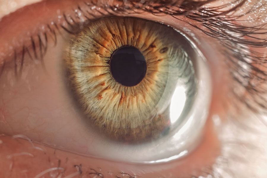 Seeing The World Clearly: How Lutein and Zeaxanthin Can Improve Eye Health