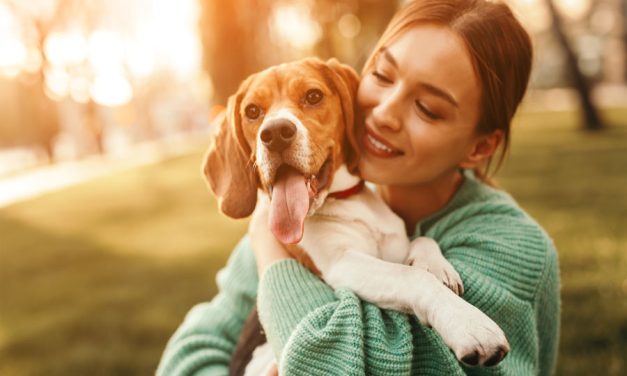 Pawsitively Amazing! How Your Furry  Friend Can Keep You Both Happy, Healthy and Fit