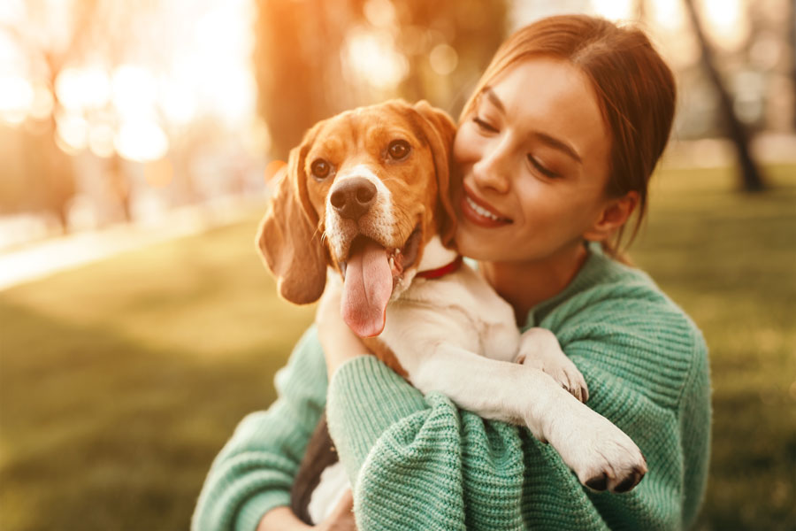 Pawsitively Amazing! How Your Furry  Friend Can Keep You Both Happy, Healthy and Fit