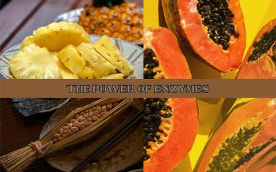 The Benefits of Enzymes for Chronic Inflammation