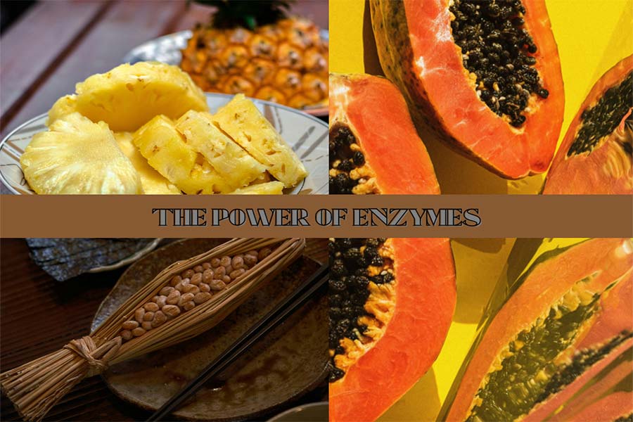 display of pineapple, natto and papaya plus the words ‘the power of enzymes’ to indicate the benefits of enzymes