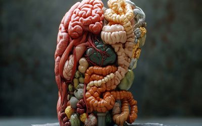 WEEK 38 (2024) – How a Happy Gut Can Lead to a Happier Mind: We Explore the Connection