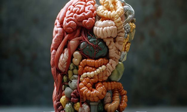 WEEK 38 (2024) – How a Happy Gut Can Lead to a Happier Mind: We Explore the Connection