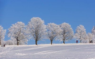 Beat the Winter Blues and Ease SAD Naturally