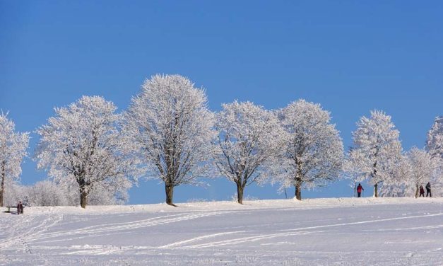 Beat the Winter Blues and Ease SAD Naturally