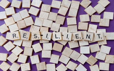 WEEK 05 (2025) – Why is resilience better than perfection?