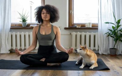 The Power of Stillness: 6 Transformative Benefits of Meditation