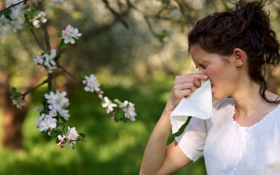WEEK 19 (2025) – What’s Behind the Allergy Epidemic?