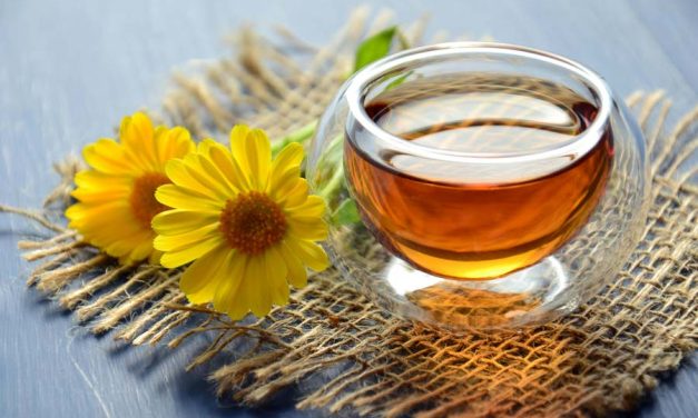 Polyphenols and Ageing: How Foods Like Garlic, Berries and Tea Can Support Healthier Cells