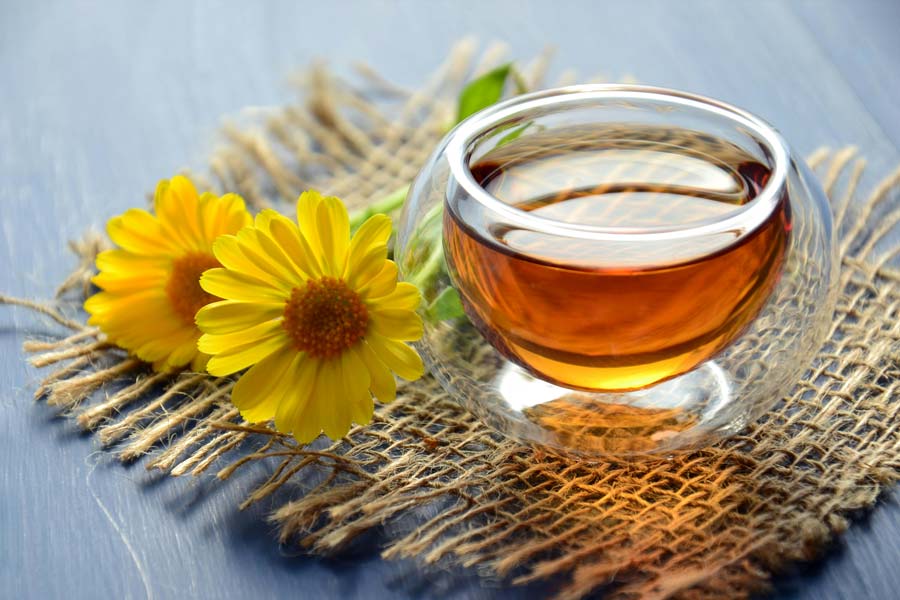 Polyphenols and Ageing