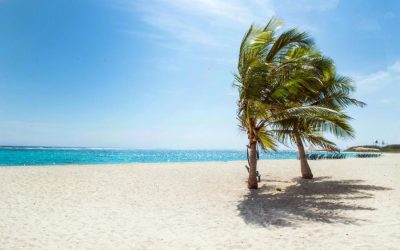 WEEK 24 (2025) – The Truth About Sunscreen and Skin Ageing