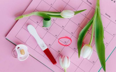 Ubiquinol and Fertility: Supporting Reproductive Health Naturally