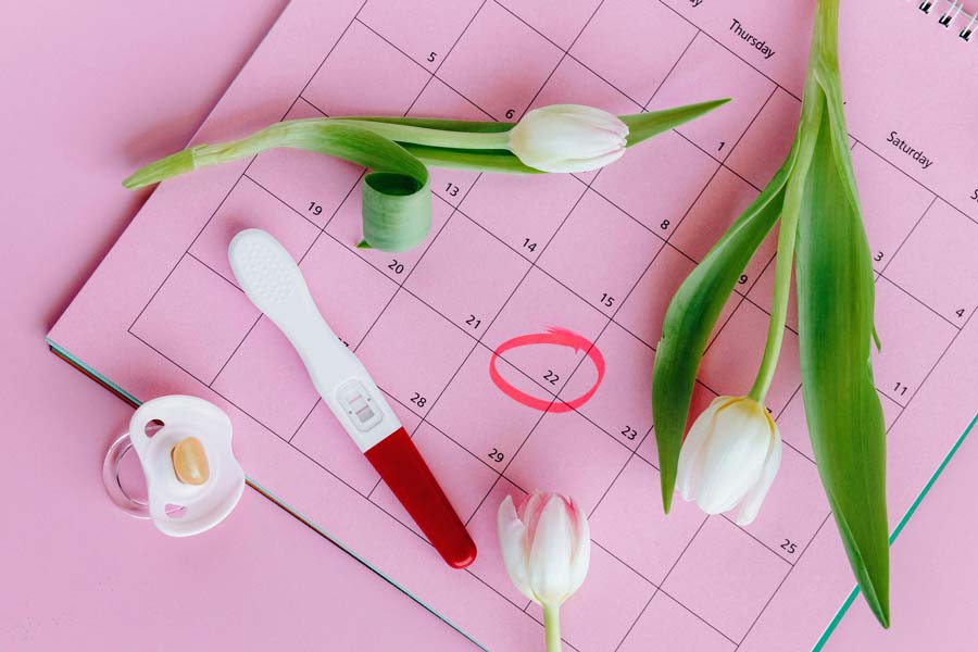 Fertility and ubiquinol