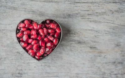 WEEK 30 (2025) – What If We’ve Been Misled About Cholesterol All Along?