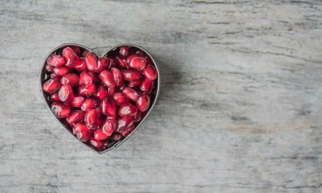 WEEK 30 (2025) – What If We’ve Been Misled About Cholesterol All Along?