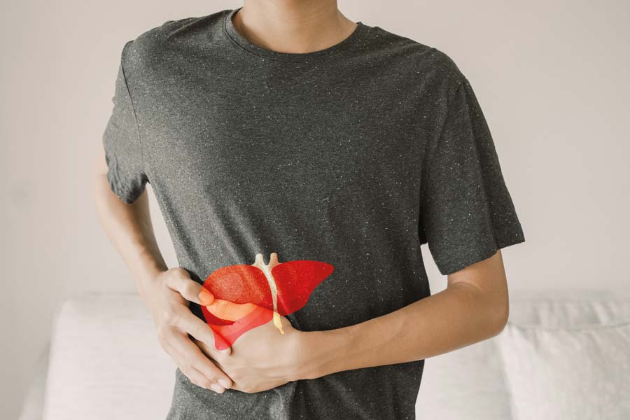 fatty liver support