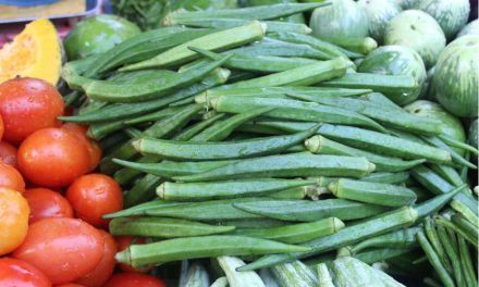 WEEK 32 (2025) – Eat These 5 Everyday Foods for a Healthier Heart