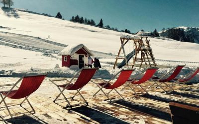 WEEK 46 (2025) – The Great Vitamin D Deception