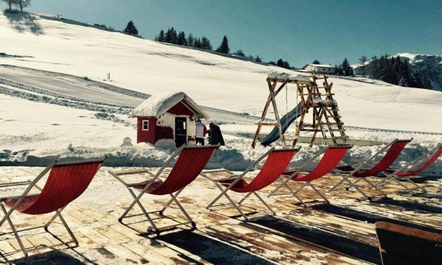 WEEK 46 (2025) – The Great Vitamin D Deception