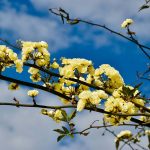 Why a Vitamin D Supplement Is Essential to Avoid a Winter Vitamin D Deficiency