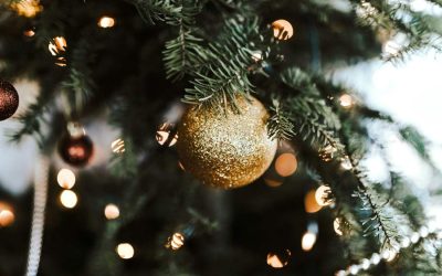 WEEK 51 (2025) – December Energy, Wherever You Are