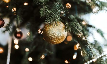 WEEK 51 (2025) – December Energy, Wherever You Are