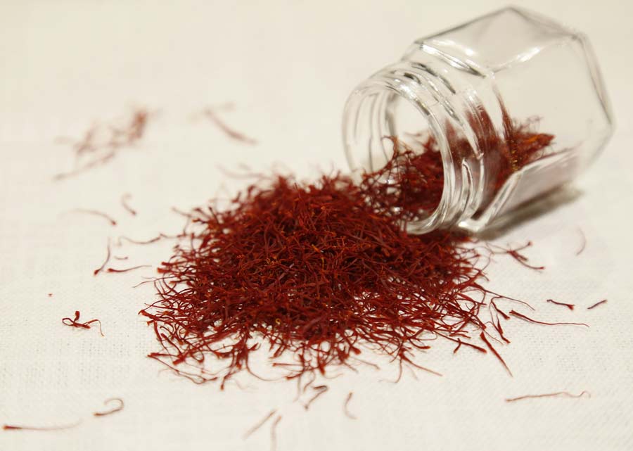 holiday stress and immune system