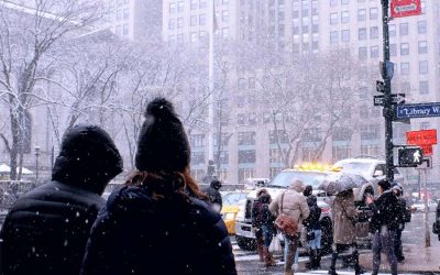 WEEK 49 (2025) – The Great Immune Myth