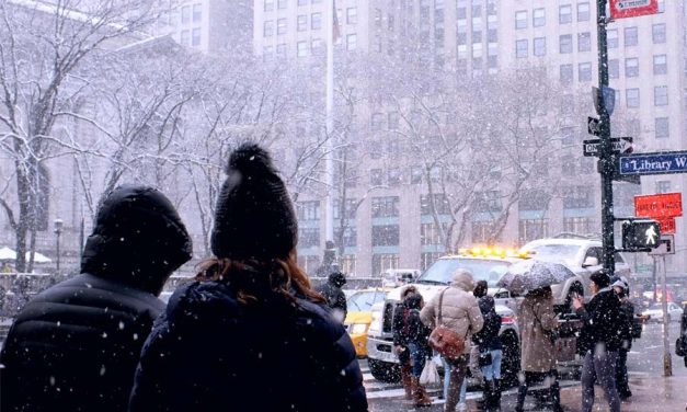 WEEK 49 (2025) – The Great Immune Myth