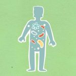 What is Sodium Butyrate Good For? Benefits for Gut, Metabolic and Brain Health