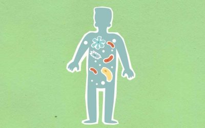 What is Sodium Butyrate Good For? Benefits for Gut, Metabolic and Brain Health