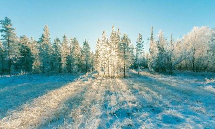 WEEK 03 (2026) – When January Feels Heavy