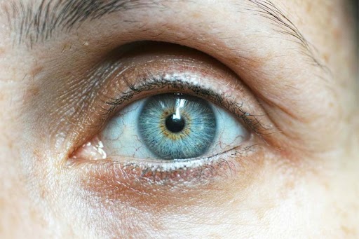 NHN eye blog pillar resized Eye Health