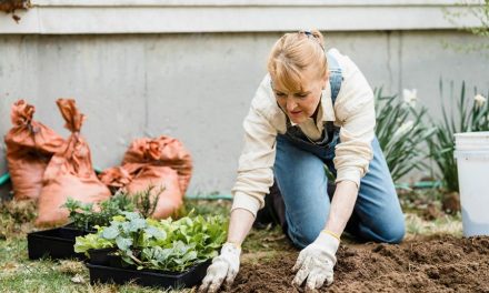 WEEK 23 (2026) – The Surprisingly Powerful Health Benefits of Getting Your Hands Dirty