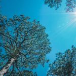 Vitamin D3 in Summer: Are You Getting Enough?