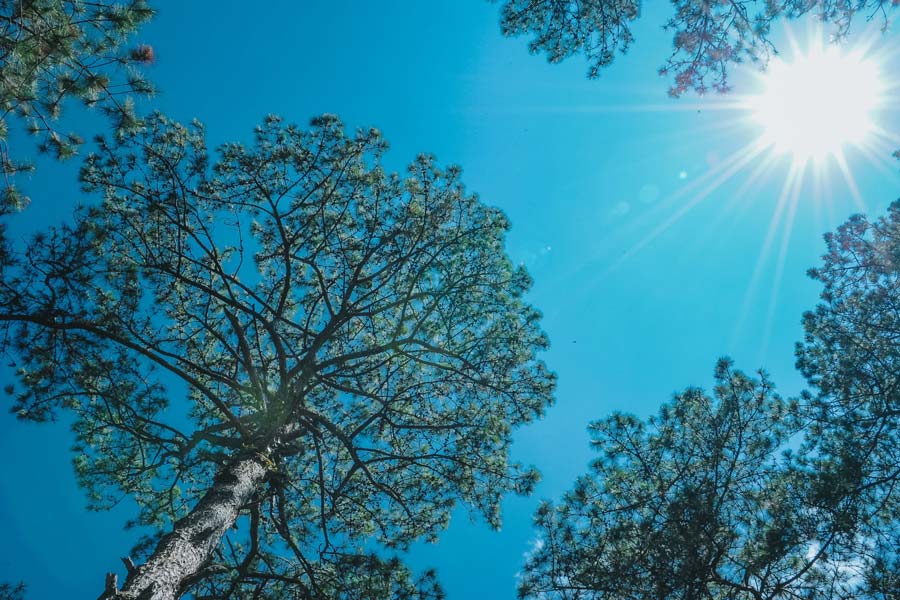 NHN-blog sun resized Vitamin D3 Am I Getting Enough