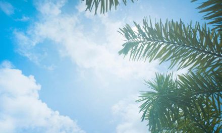WEEK 30 (2026) – The vitamin D mistake many of us make