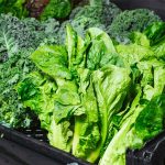 Foods for Eye Health: A Diet Guide to Support Vision