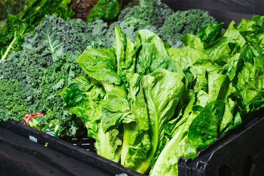 pexels-kindelmedia NHN resize diet and eye health